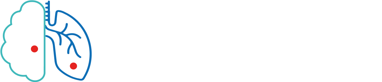 Cebra 2024
